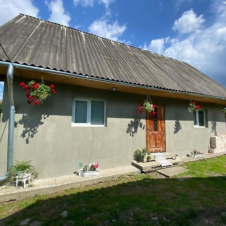 Біля Саду Volovets Eksteriør bilde